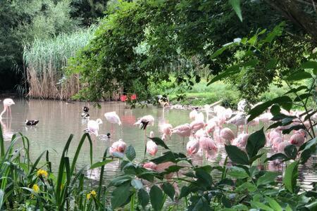 Stadtnaehe Und Doch Mitten In Der Natur Salzburg Zewnętrze zdjęcie